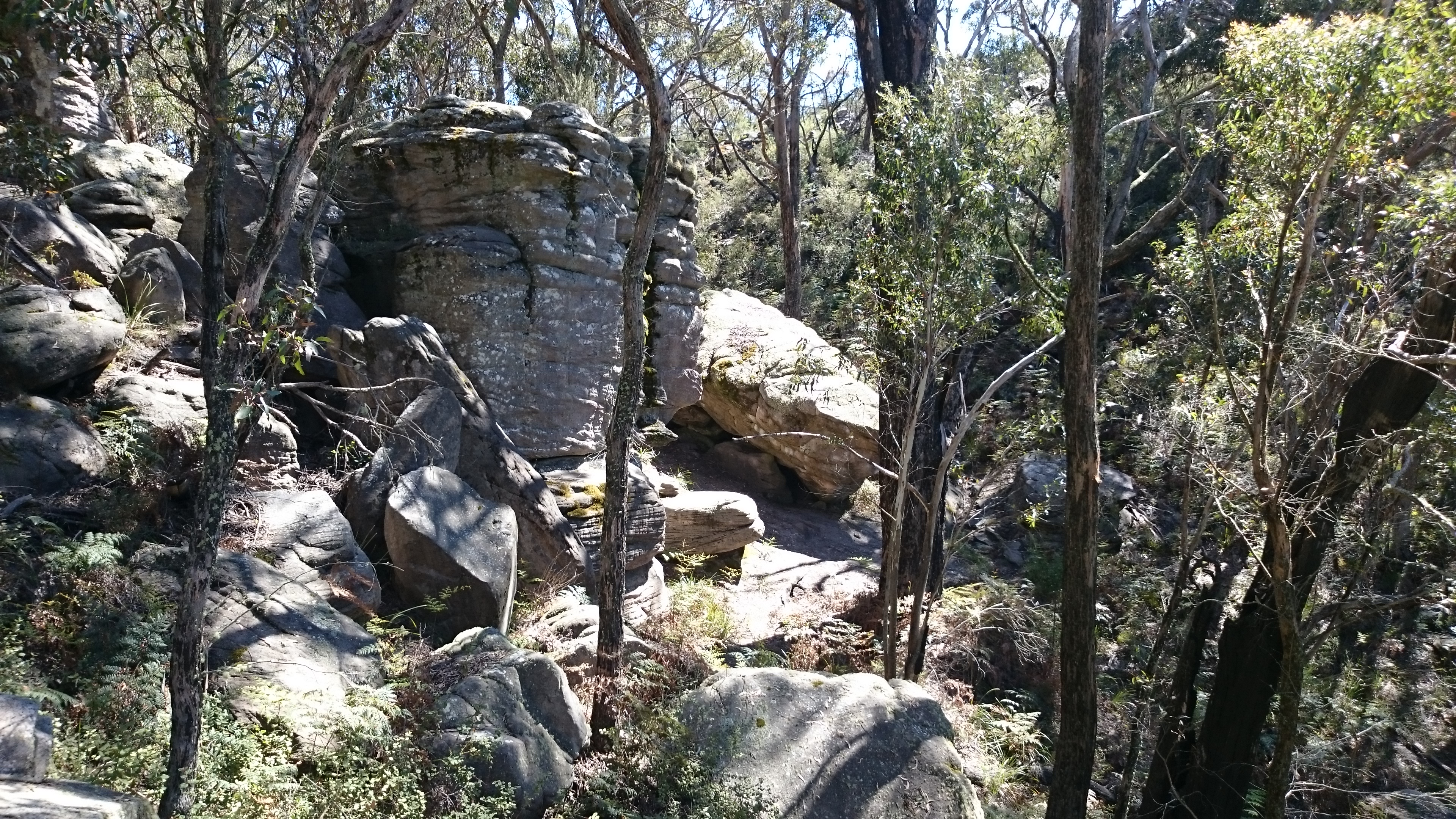 Some boulders seen through trees